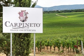 Carpineto entra a far parte di The Grand Wine Tour