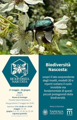 La mostra Biodiversità nascosta arriva al Museo di Zoologia per la Notte dei Musei