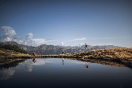 La settimana verde