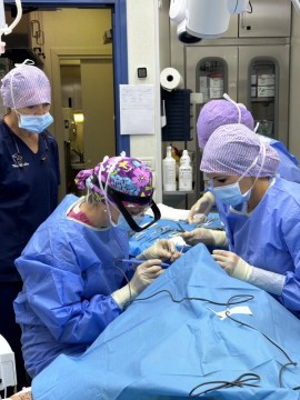 CHIRURGIA PLASTICA: parte da Salò l'appello alla moderazione