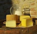 AAA… Cercasi Caseifici per la produzione di Formaggio Giallo
