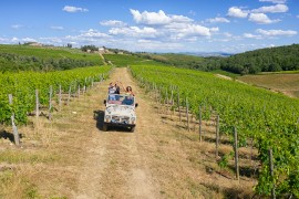 Estate esclusiva a Vallepicciola: Wine Safari e Collectors Experience tra i vigneti della cantina e immersi nelle colline del Chianti Classico