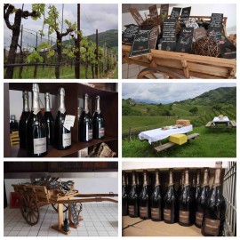 Bortolin Angelo Spumanti la Cantina del Prosecco dove passione e tradizione danno origine al nettare dorato