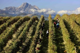 VINI D'ABRUZZO: la promozione trascina l'export imbottigliato  in linea con gli ultimi anni