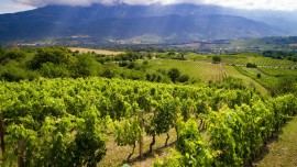 Torna “WORDS OF WINE – PAROLE DI VINO” dedicato a chi ha saputo meglio raccontare l'Abruzzo