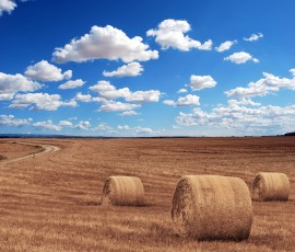 Agroalimentare: a Piacenza la seconda edizione del Novalis Forum