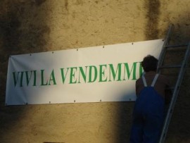 Vivi la vendemmia 2024: a POGGIOTONDO è tempo di vendemmia