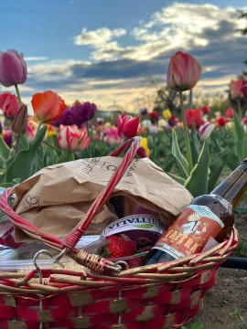 Picnic di primavera nei campi di Agricola delle Meraviglie di Steflor