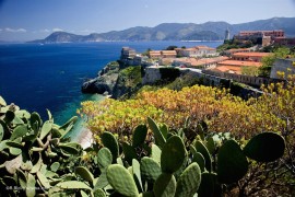 L'Associazione della stampa estera in Italia sceglie l'Isola d'Elba per l'edizione 2022 del Premio Gruppo del Gusto 