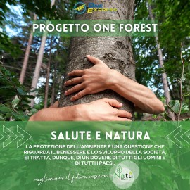 One Express rinnova il progetto ONE FOREST in occasione della Giornata Nazionale degli Alberi 