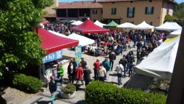 Domenica 14 Aprile, gita a Morimondo incontro alla primavera per immergersi nella storia e nella bellezza a pochi chilometri da Milano