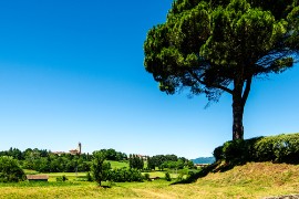 Dove andare a mangiare in Brianza