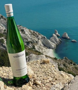 Nasce Doroverde, il Verdicchio dell'estate