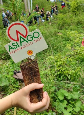 Dal dire al fare: Asiago DOP scende in campo per il pianeta