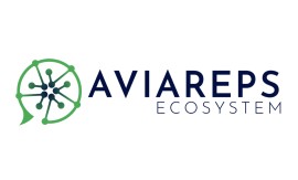  AVIAREPS lancia Digital Ecosystem per semplificare il marketing digitale