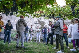 Dal 6 all’8 settembre a Isera il Marzemino torna grande protagonista VALLAGARINA IN FESTA con “LA VIGNA ECCELLENTE”
