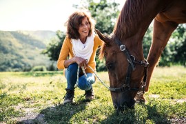 Piante tossiche per cavalli: 9 erbe tossiche per cavalli diffuse da noi