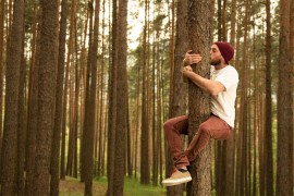 Vibrazioni Verdi: il potere terapeutico degli alberi