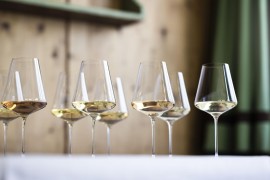 ANNATA 2024: straordinaria nei vigneti e in cantina