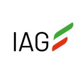 Artemest e IAG: una storia d'amore innovativa – Strategie di uscita vincenti