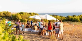 Mandrarossa Vineyard Tour 2022: la vendemmia di Menfi riapre al pubblico per un weekend tra mare e vigne