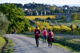 EcoPasseggiata del Chianti Classico non competitiva, camminatori al via domenica 16 ottobre