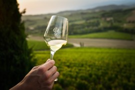 Torna l’appuntamento con Collio Day, in programma il 9 maggio 2024