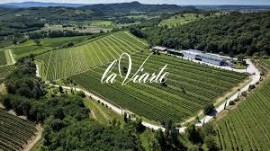 La VIARTE protagonista al MERANO WINE FESTIVAL