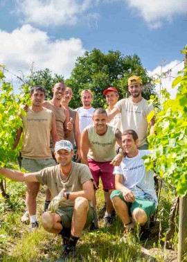 Vendemmia super per i bianchi di San Patrignano