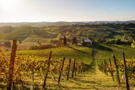  Pellegrini S.p.A. dà il benvenuto a Frasca La Guaragna
