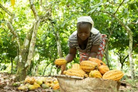 I consumi etici di prodotti Fairtrade hanno tenuto anche nel 2022, nonostante il caro vita