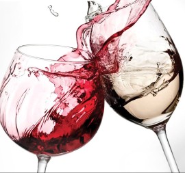 GUSTUS – VINI E SAPORI DI VICENZA 2024: TRA CALICI E SOSTENIBILITÀ