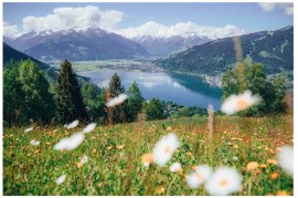 Il Salisburghese si prepara ad ospitare la 1000 Miglia Warm Up Austria