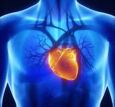 Malattie delle valvole cardiache: le semplici mosse per contrastare uno dei pericoli più diffusi over 65 