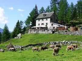 Rifugio in alta val d'Ossola cerca il nuovo gestore