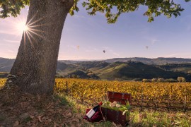La destinazione più cool per un autunno all'insegna di Barolo, Barbaresco, cucina d’eccellenza e Tartufo Bianco d’Alba: le colline delle Langhe, in Piemonte