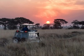 Esplorando il Sudafrica 