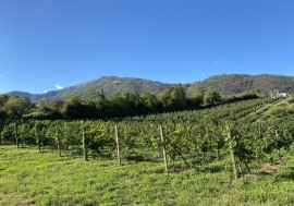West Bergamo Wine & Friends