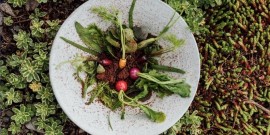 CUCINA DI TERRITORIO: 10 Chef e Ristoranti da non perdere nel 2025