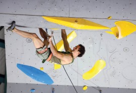 Rock master fascino senza tempo. Nel 2024 duello lead e ko boulder