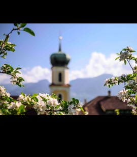 Lana in Alto Adige, un territorio sempre in fiore
