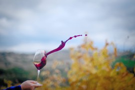«Che Vino!» L'E-commerce dedicato alle cantine uniche e speciali