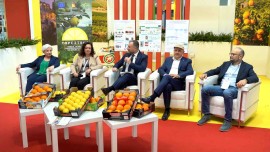 L'innovazione sugli agrumi parte dalla Sicilia. A Macfrut il punto sui Consorzi ed i progetti di ricerca