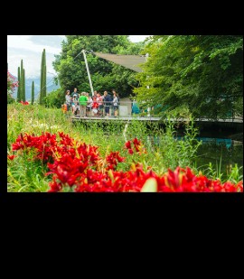 Tutti i modi per scoprire i Giardini di Castel Trauttmansdorff 