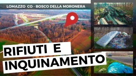 L'area verde di Lomazzo a rischio: lo sversamento dei rifiuti nel Bosco della Moronera danneggia l'ambiente