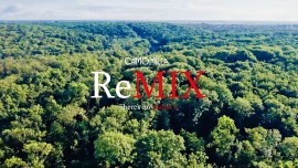   Camomilla Italia lancia il progetto ‘’AIUTACI A POPOLARE LA PRIMA FORESTA CAMOMILLA ITALIA’’