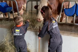 In Friuli Venezia Giulia – Zoncolan a misura di bambino: in Carnia la montagna che educa e incanta