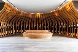 Château d’Yquem, genesi di un mito: le parole di Cinzia Benzi e le foto di Francesca Brambilla e Serena Serrani ripercorrono l’epopea della tenuta simbolo del Sauternes