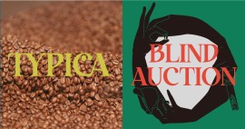 TYPICA introduce un nuovo sistema di aste online per il commercio del caffè di qualità
