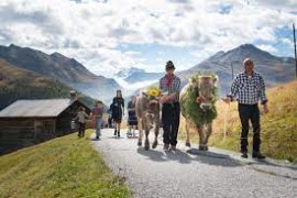 A Livigno torna l’Alpenfest: due giorni di festa per celebrare la transumanza